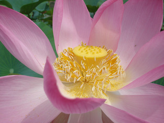 Similar image 1342620