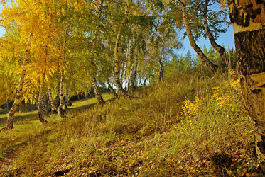 Similar image 1342624