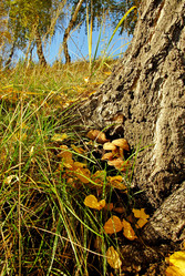 Similar image 1342674