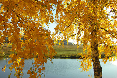 Similar image 1342675