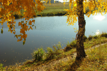 Similar image 1342676