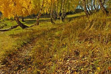 Similar image 1342678