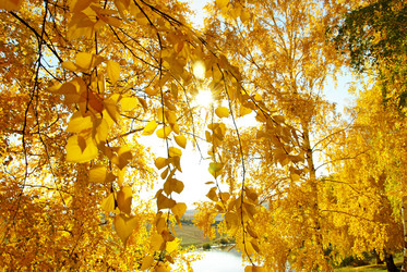 Similar image 1342679