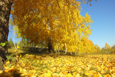 Similar image 1342680