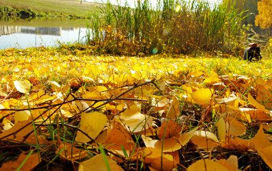 Similar image 1342682