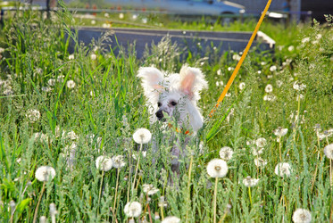 Similar image 1342688