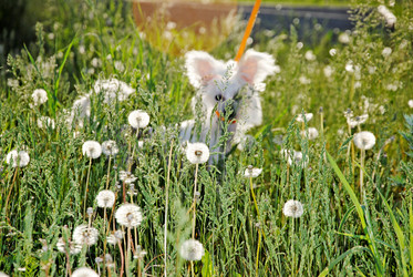 Similar image 1342689