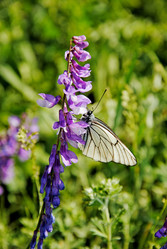 Similar image 1342690