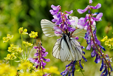 Similar image 1342692