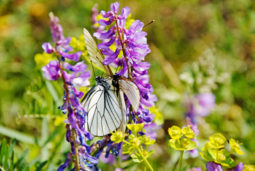 Similar image 1342693