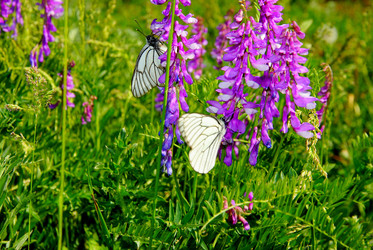 Similar image 1342698