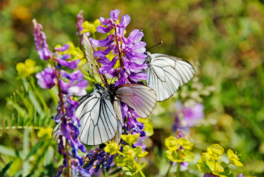 Similar image 1342700