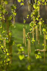 Similar image 1342703