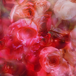 Similar image 1342729