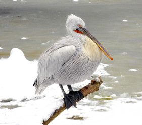 Similar image 1342736