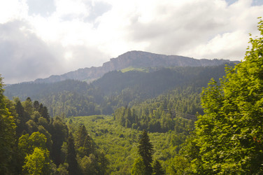 Similar image 1342752