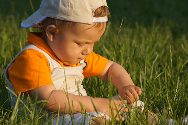 Similar image 1342754