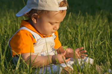 Similar image 1342755