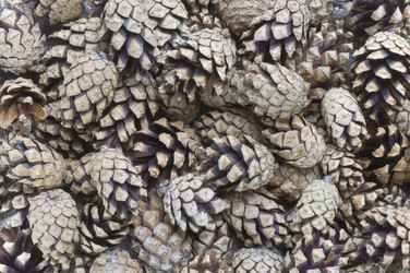 Similar image 1342758