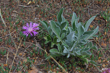 Similar image 1342764