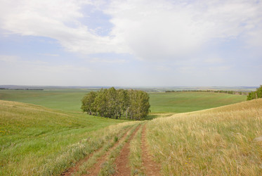 Similar image 1342770