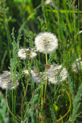 Similar image 1342778