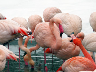 Similar image 1342797