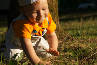 Similar image 1342804