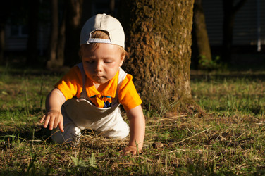 Similar image 1342809