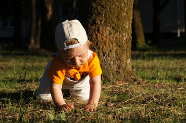 Similar image 1342810