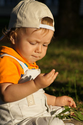 Similar image 1342811