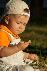 Similar image 1342812