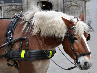 Similar image 1342815