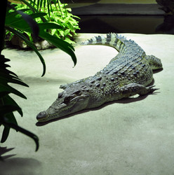 Similar image 1342818