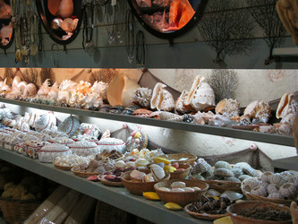 Similar image 1342819