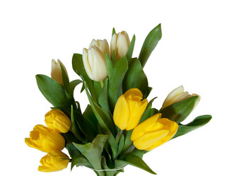 Similar image 1342832