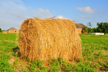 Similar image 1342835