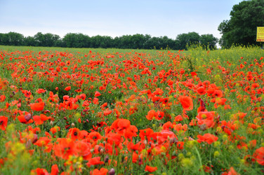 Similar image 1342836