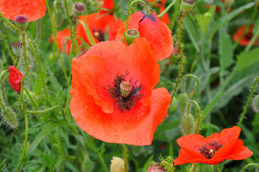 Similar image 1342838