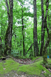 Similar image 1342839