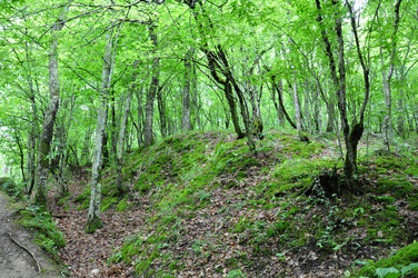 Similar image 1342842