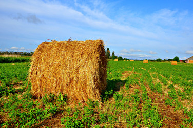 Similar image 1342843