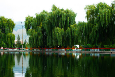 Similar image 1342845