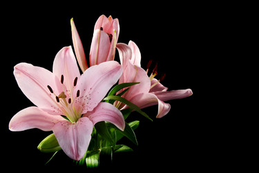 Similar image 1342850