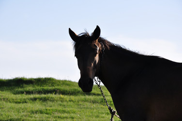 Similar image 1342855