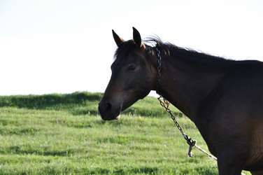 Similar image 1342856