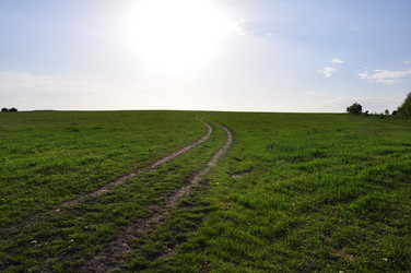 Similar image 1342857