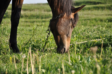 Similar image 1342863