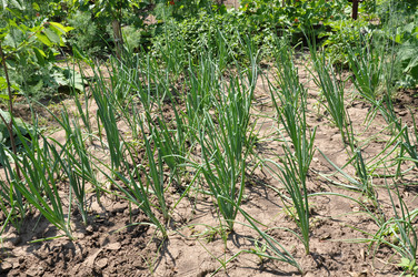 Similar image 1342869