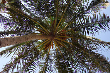 Similar image 1342874